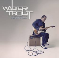 Walter Trout : Blues for the Modern Daze